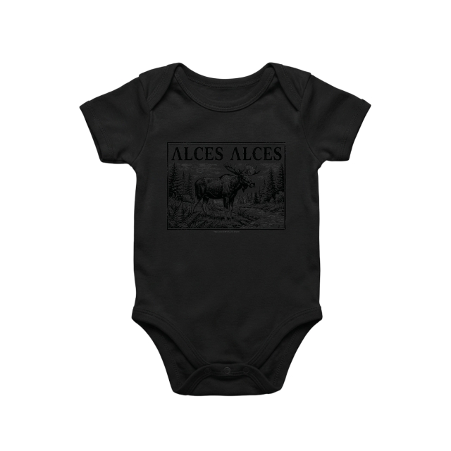 Alces Alces
