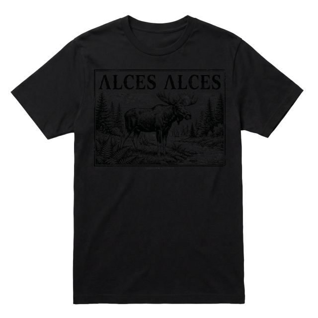 Alces Alces