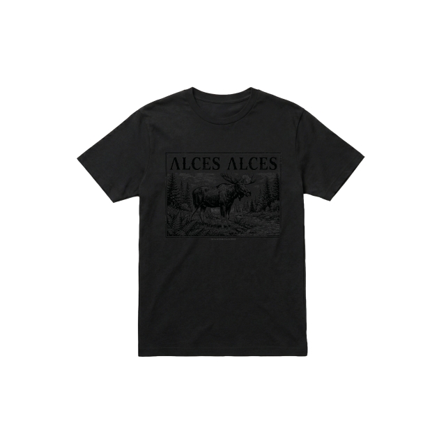 Alces Alces
