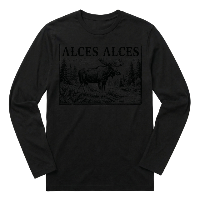Alces Alces
