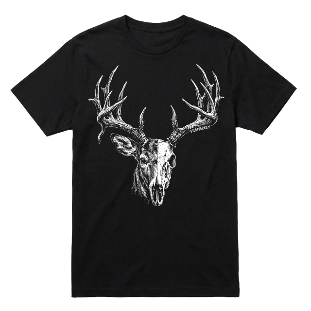 Whitetail Buck skull