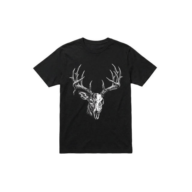 Whitetail Buck skull