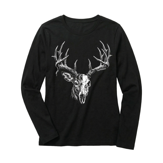 Whitetail Buck skull