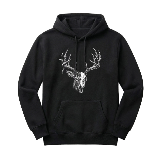 Whitetail Buck skull