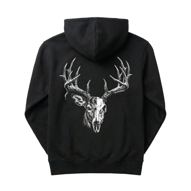 Whitetail Buck skull