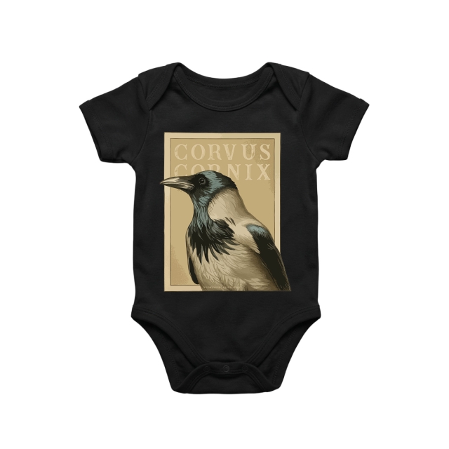 Corvus Cornix (kråka)