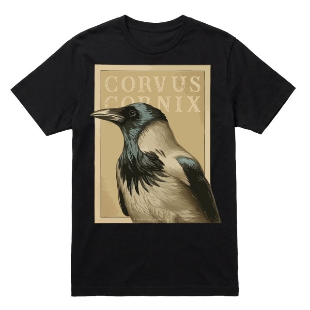 Corvus Cornix (kråka)