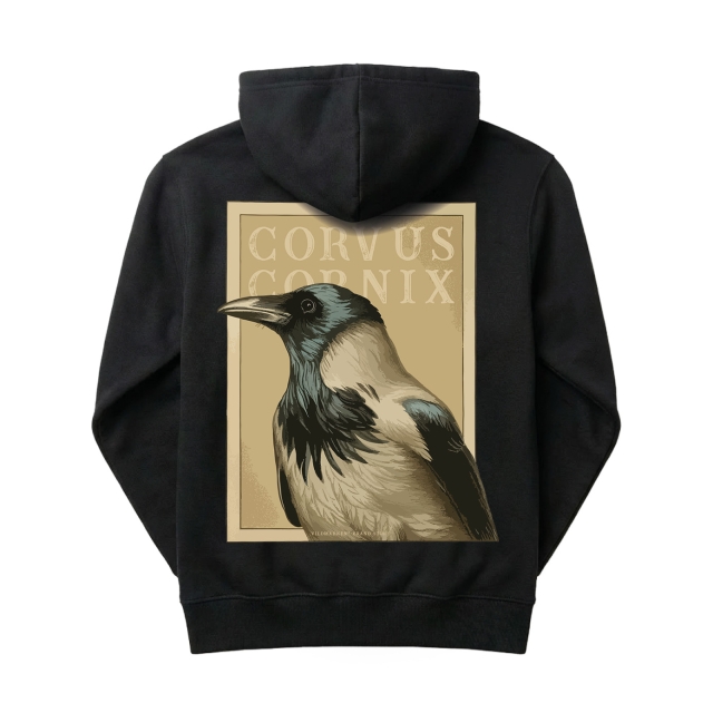Corvus Cornix (kråka)