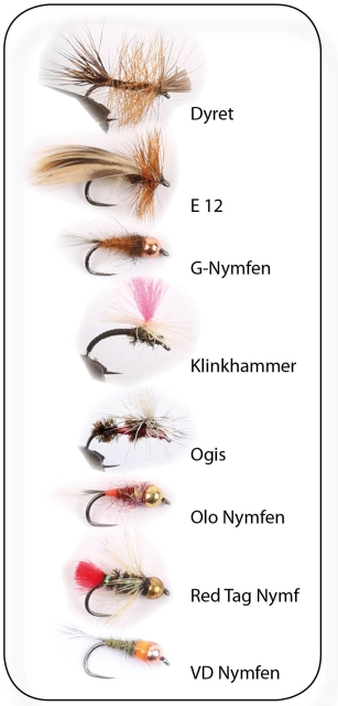 Flugkollektion Roffes Öringflugor 8p #12 (pkt)