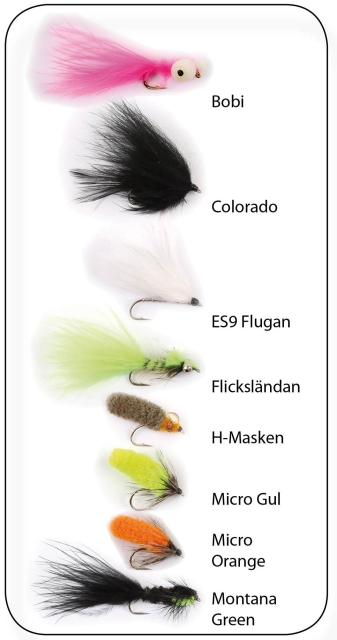 Flugkollektion Roffes Regnbågsflugor 8p #12 (pkt)
