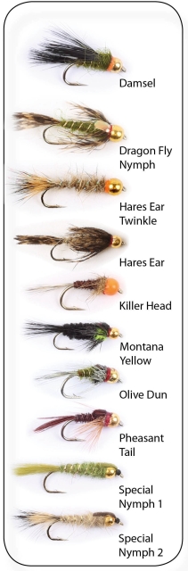Flugkollektion Goldheads 10p #12 (pkt)