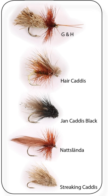 Flugkollektion Sedges 5p #12 (pkt)
