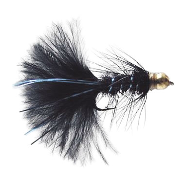 Gold Head Long Shank Nymph Wooly Bugger Black #10 (12p)