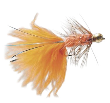 Gold Head Long Shank Nymph Wooly Bugger Orange #10 (12p)
