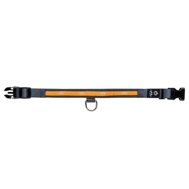 Blaser LED-panta